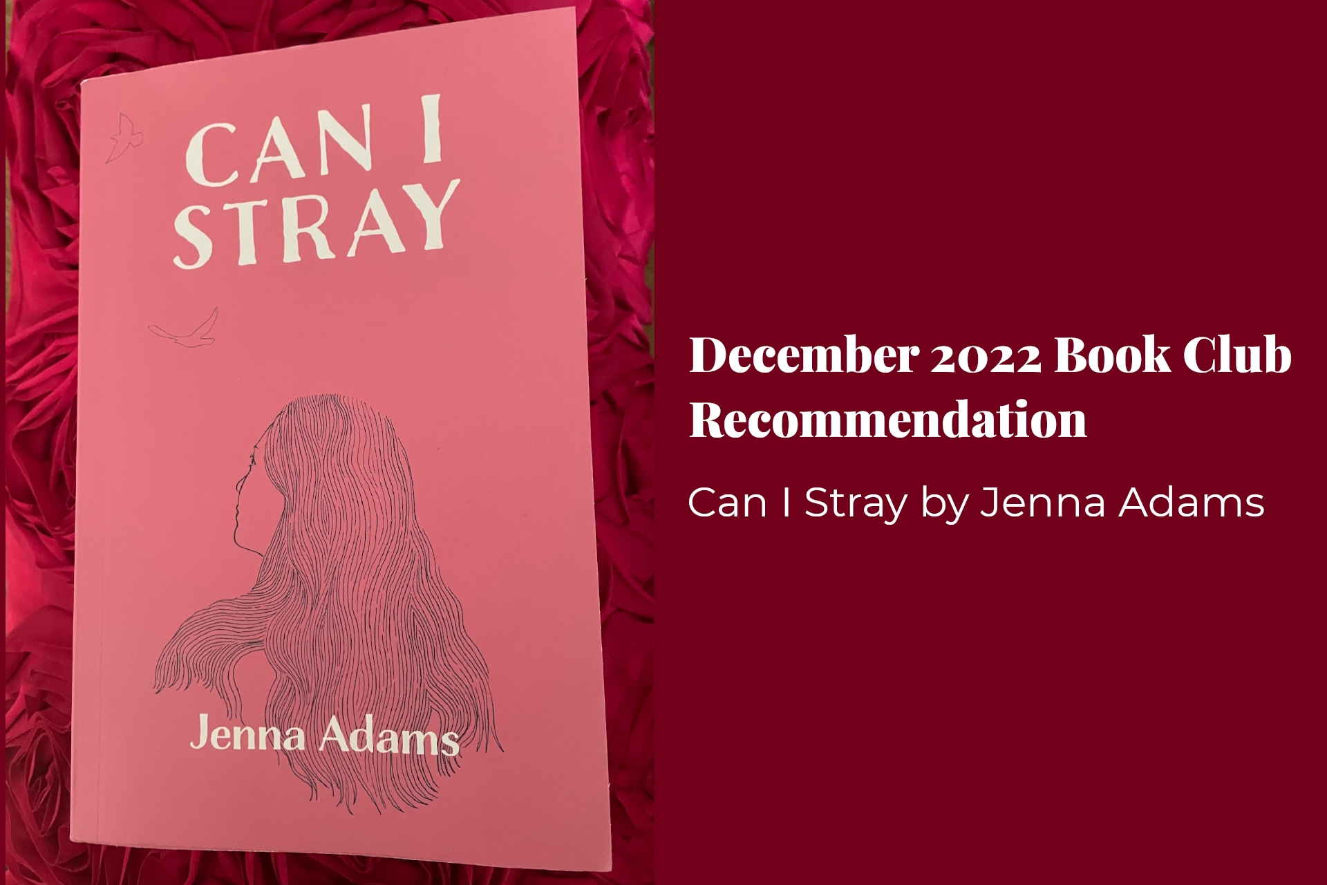 December 2022 Book Club Recommendation: Can I Stray by Jenna Adams