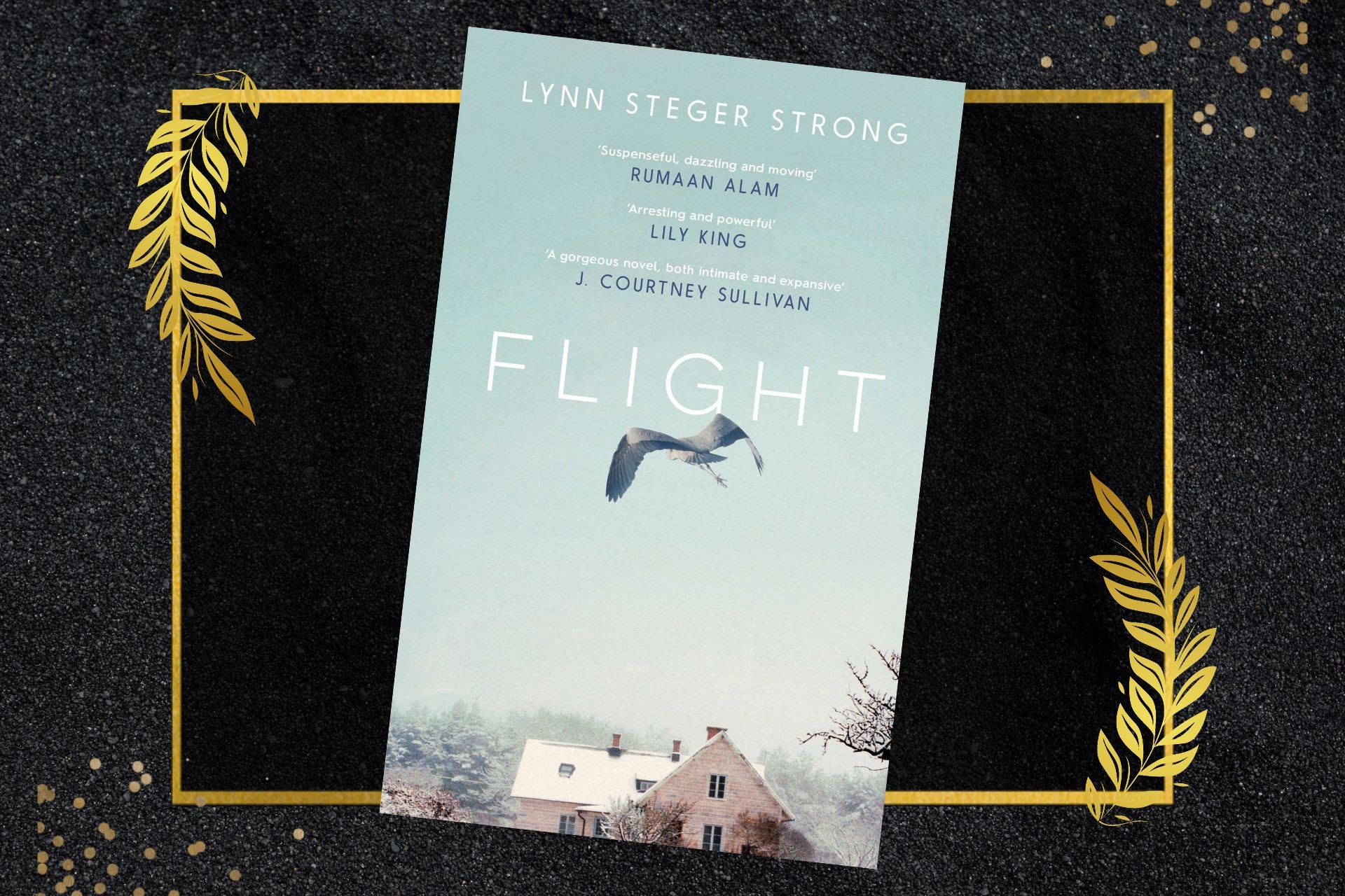 January 2023 Book Club Recommendation: Flight by Lynn Steger Strong