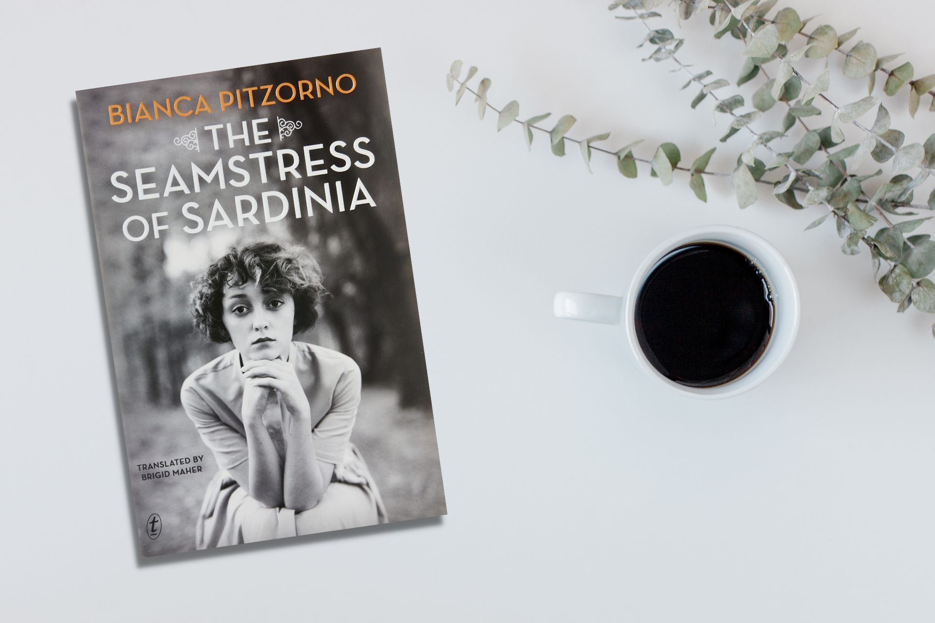 February 2023 Book Club Recommendation: The Seamstress of Sardinia by Bianca Pitzorno