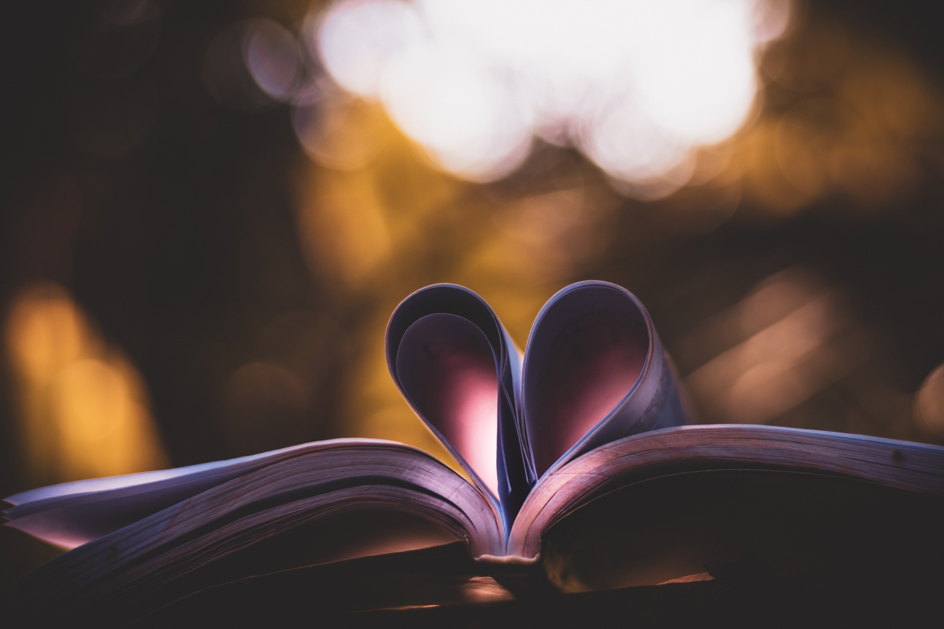 Books to share with those you love this Valentine's Day and International Book Giving Day 