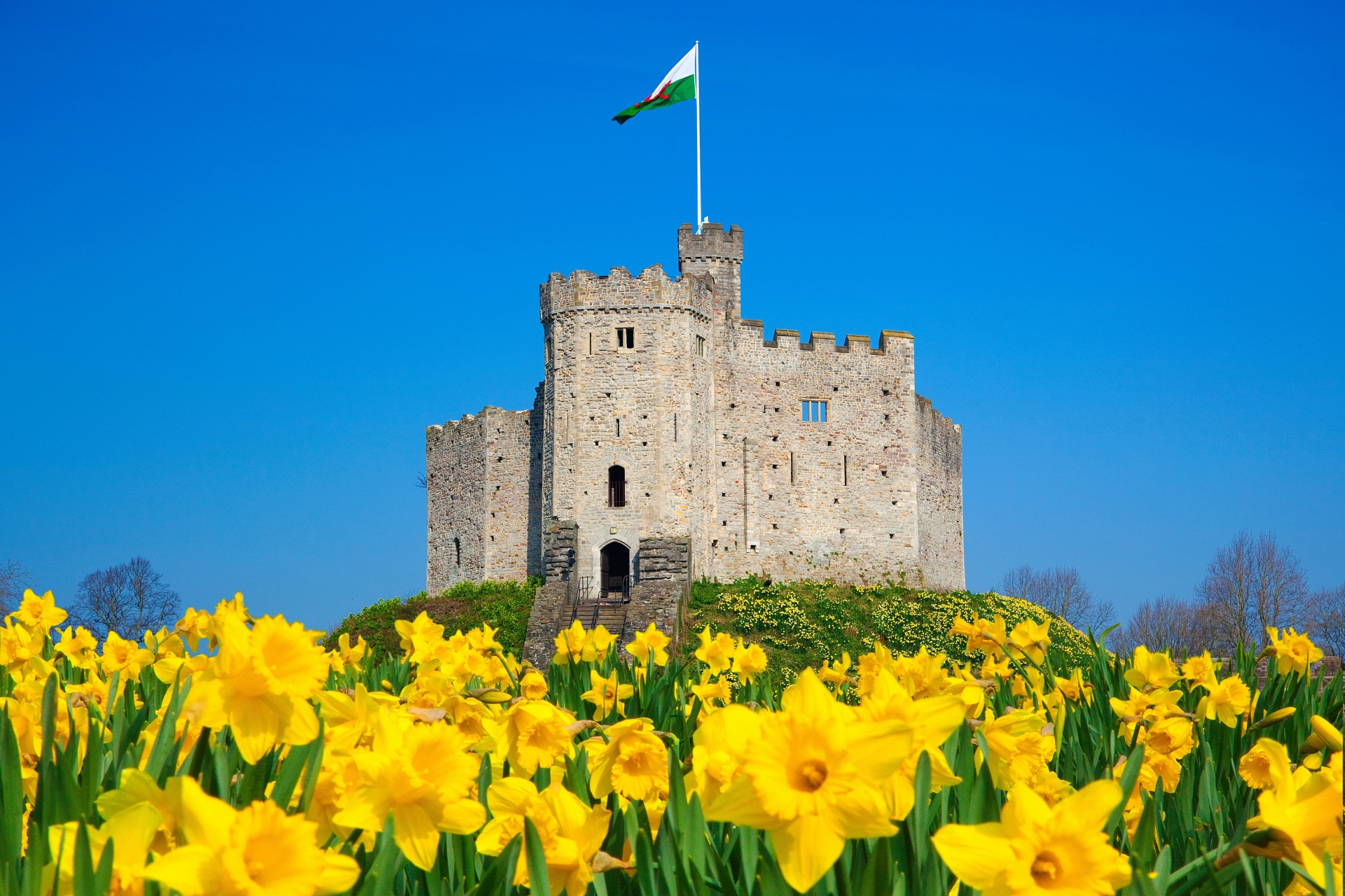 20 Children's Books set in Wales for St David's Day