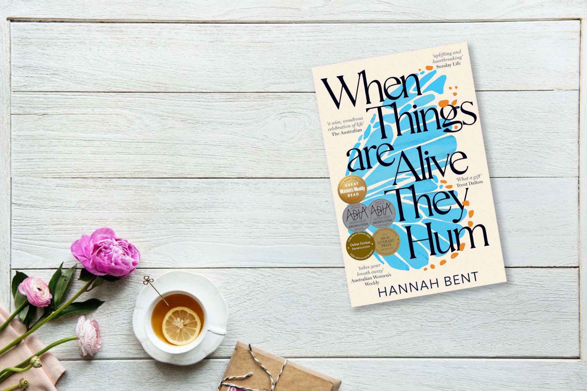 June 2023 Book Club Recommendation: When Things Are Alive They Hum by Hannah Bent