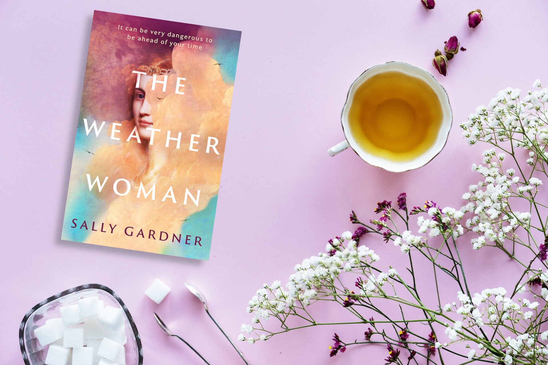 August 2023 Book Club Recommendation: The Weather Woman by Sally Gardner