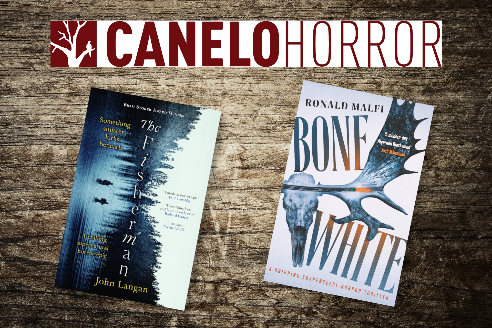 Industry Insights October 2023: Canelo launch new horror imprint