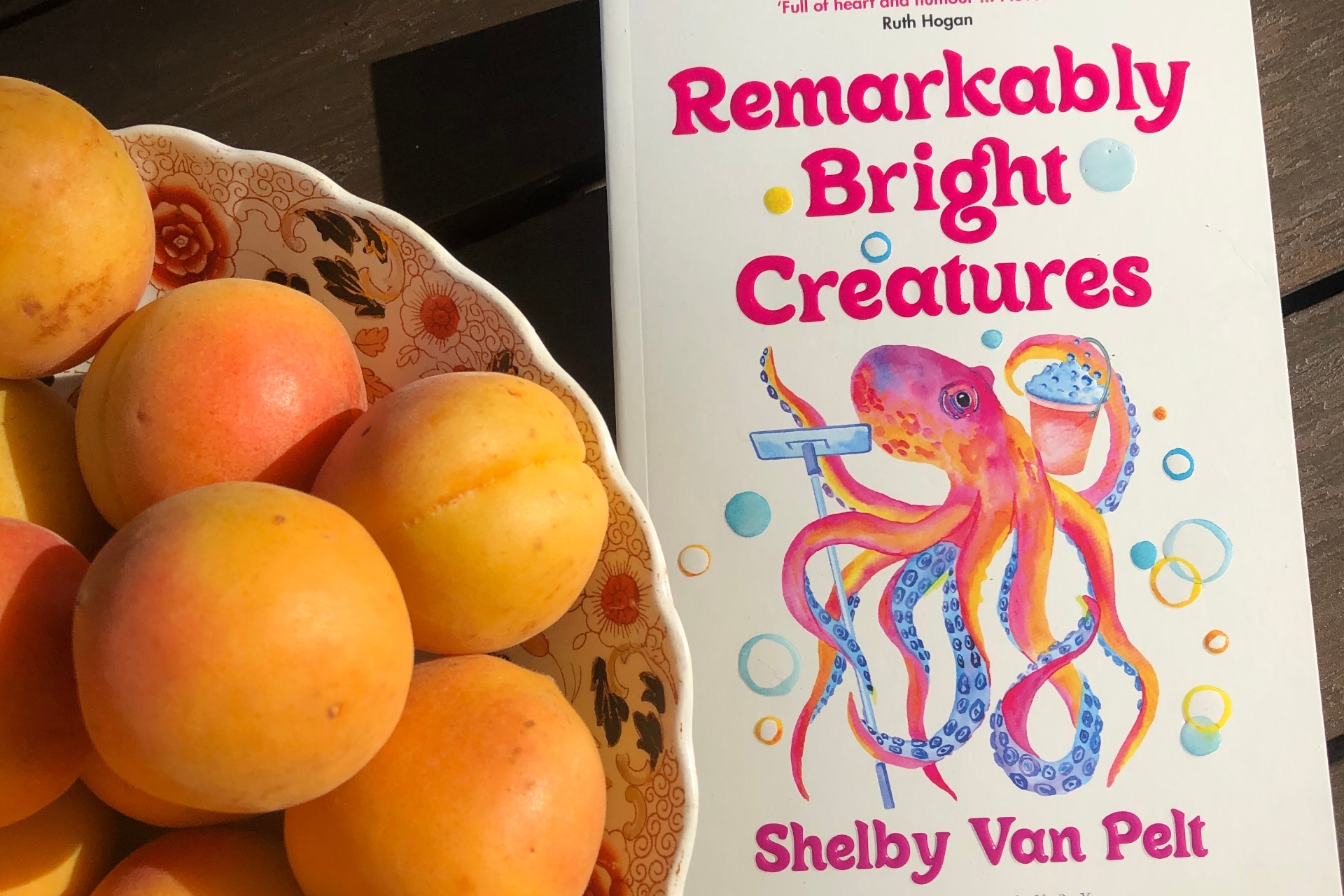 November 2023 Book Club Recommendation: Remarkably Bright Creatures by Shelby Van Pelt