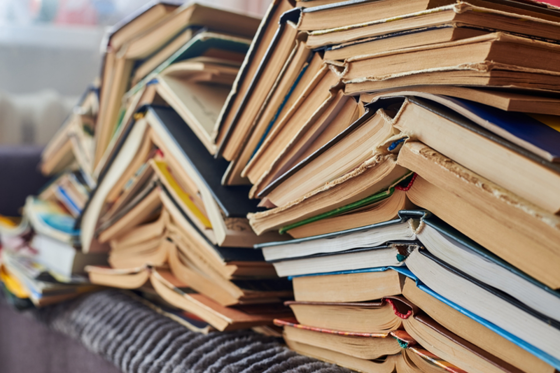 Weeding Your Library for Effective Stock Management