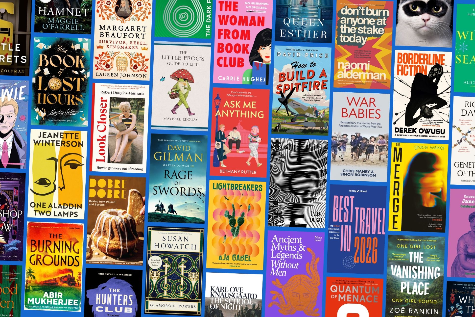 Immerse Yourself in our Summary of November's Must-Read New Releases!