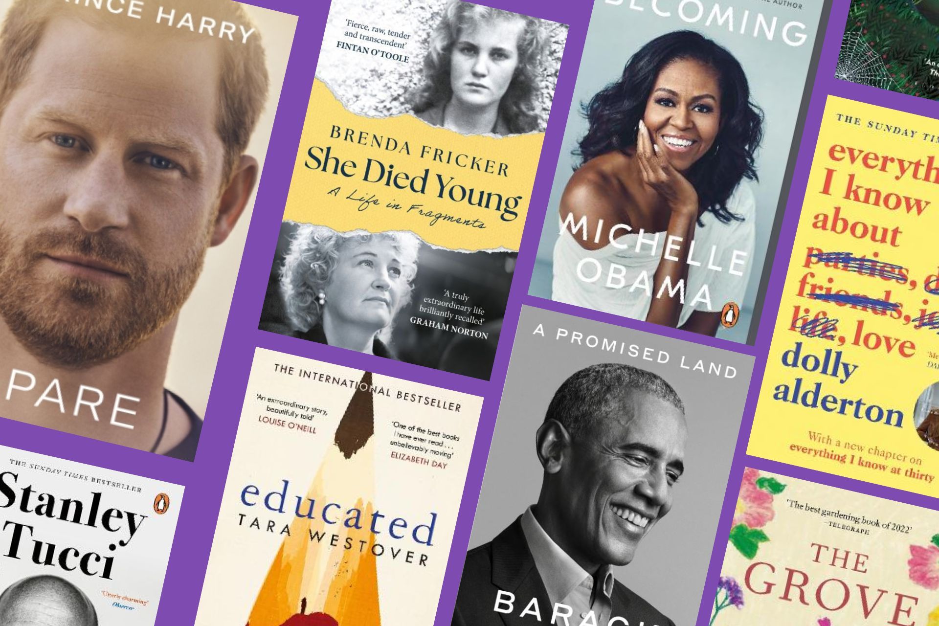 Unforgettable Memoirs: Journeys Through Remarkable Lives