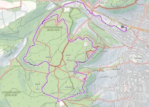 Forstlauf 12 km