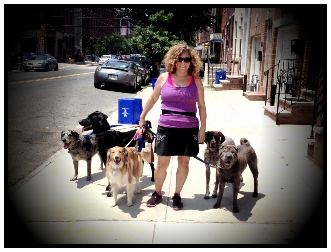 The Philly Pack Pet Shop