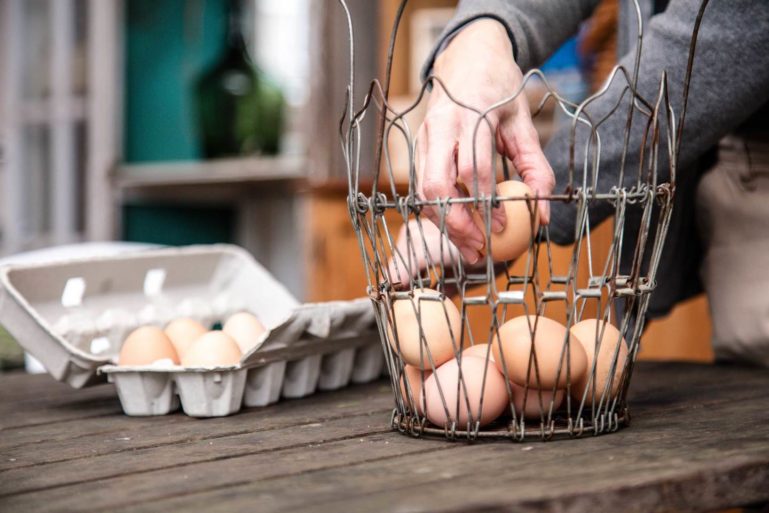 ShopKeep eggs why small businesses fail