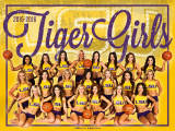 2015-16 LSU Tiger Girls Poster