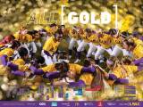 2017 LSU Softball Poster