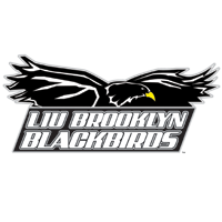 LIU Brooklyn Logo