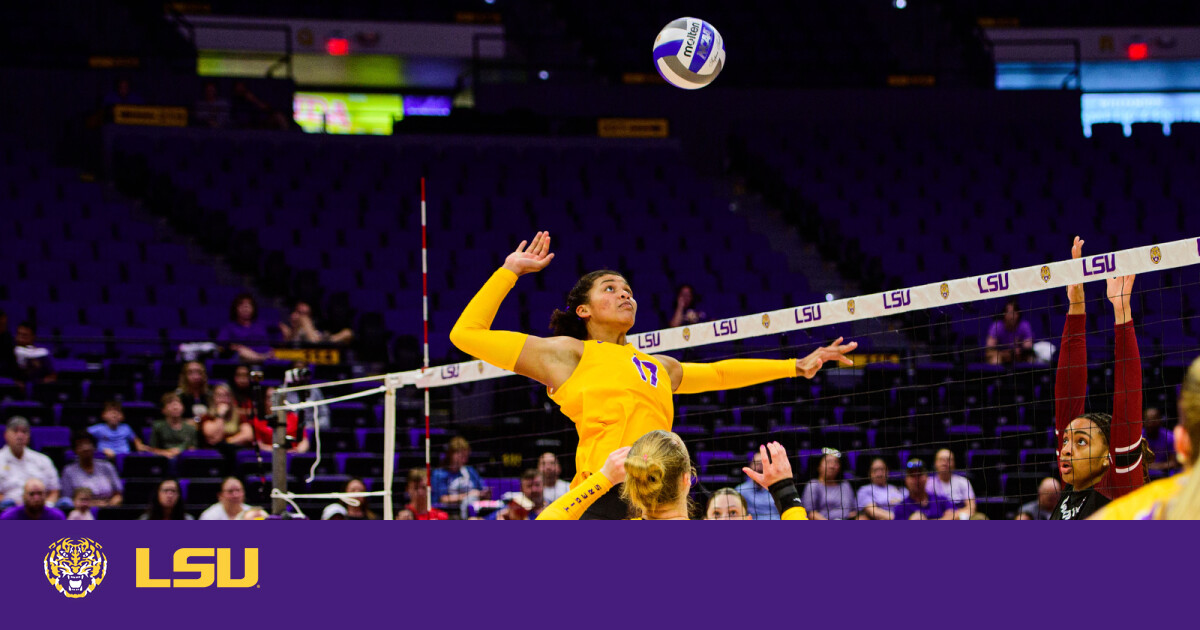 Gallery: Volleyball vs South Carolina
