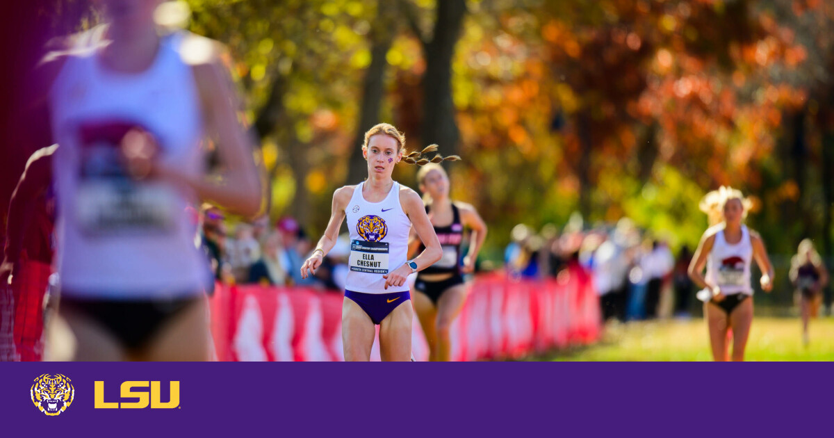 Gallery Cross Country NCAA South Central Regional LSU