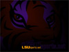 lsunetwall_th.jpg