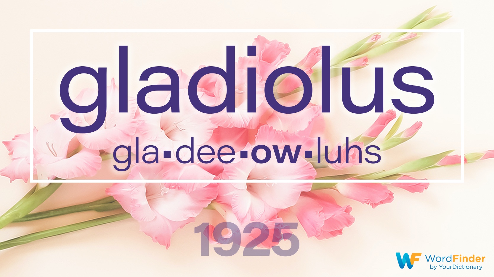 national spelling bee winning word gladiolus 1925