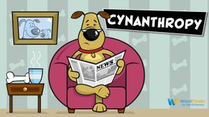 cynanthropy dog reading newspaper in chair