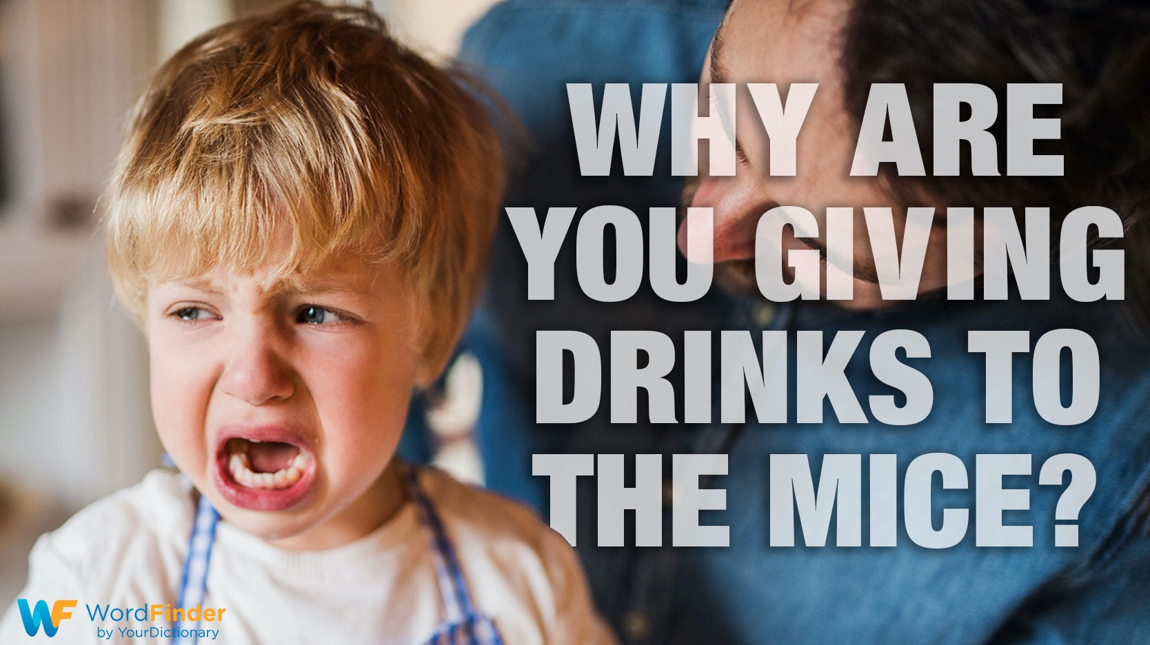 Hungarian idiom give drinks to mice boy crying