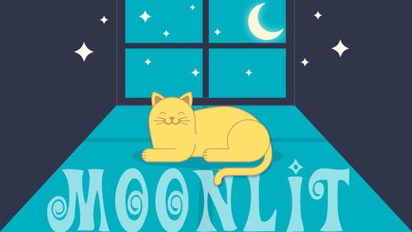 moonlit cat in window