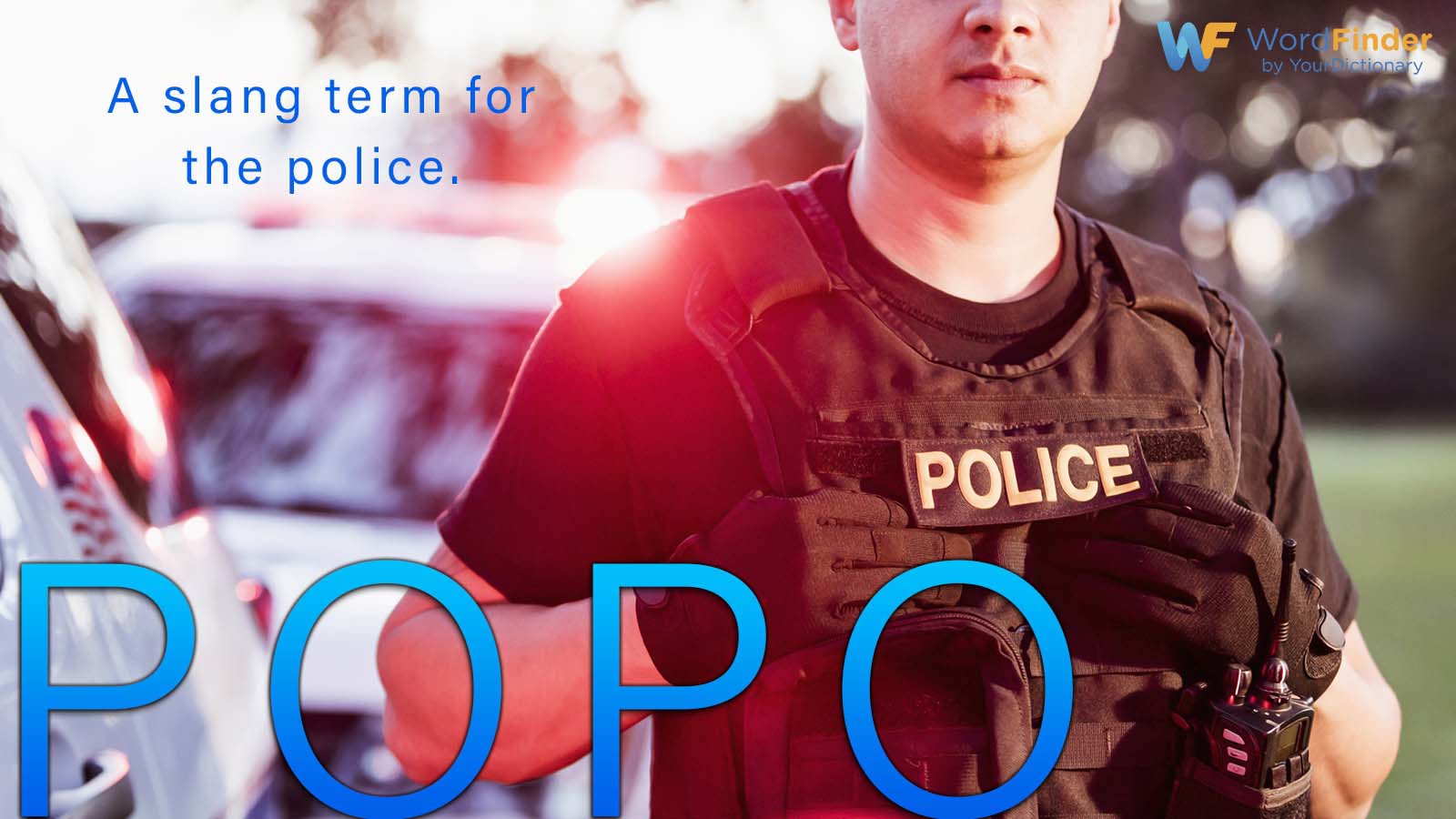 popo definition slang for police