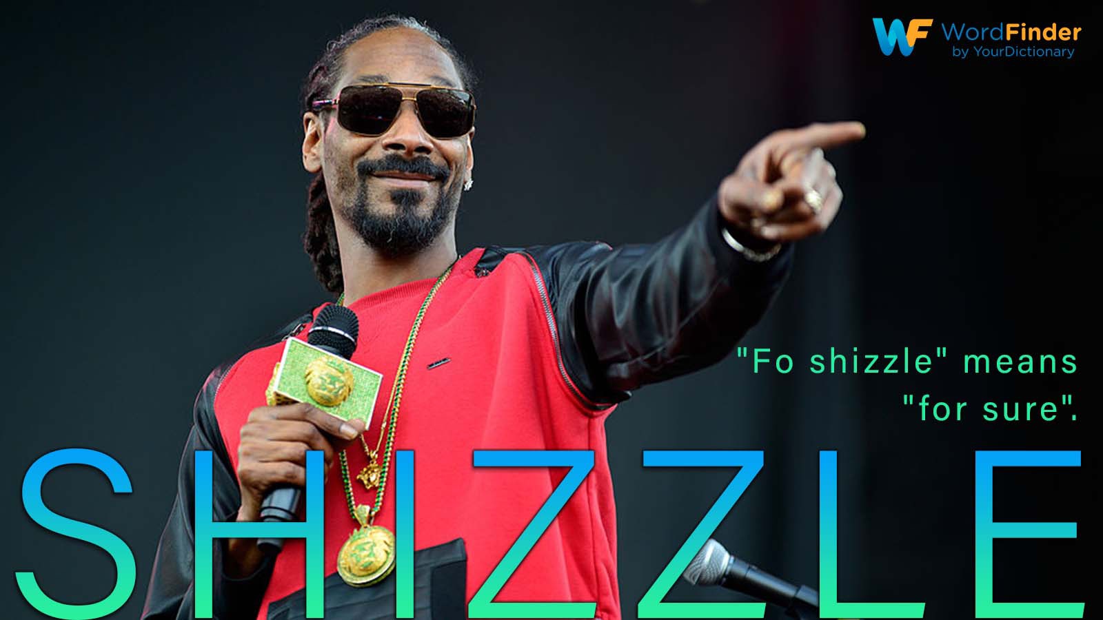 definition shizzle Snoop Dogg
