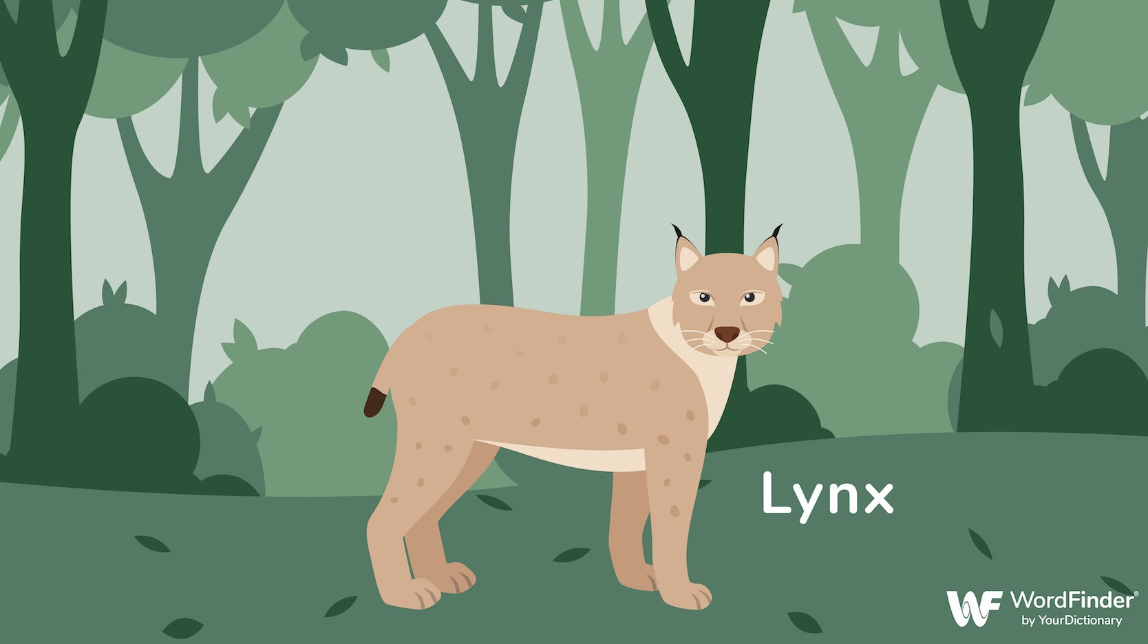 Visual of the word lynx