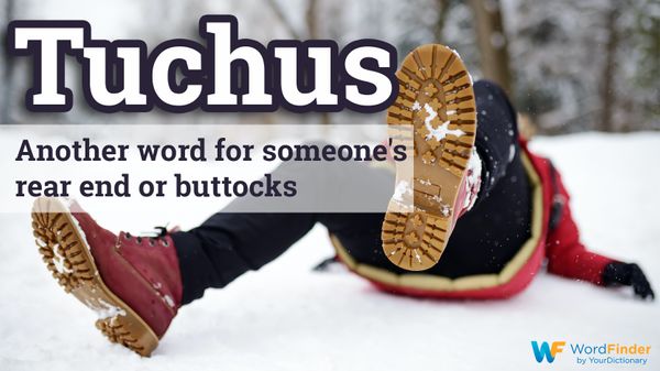 yiddish word tuchus