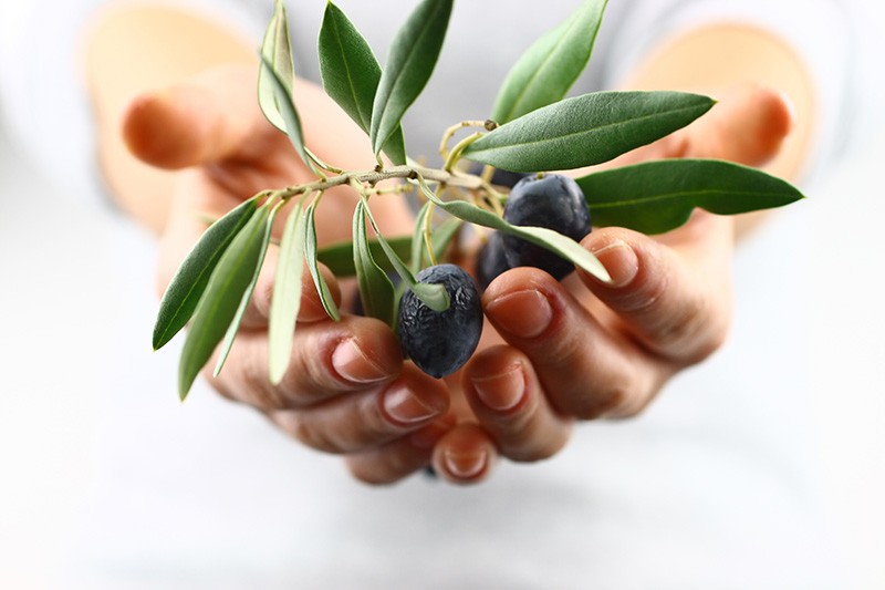 To Hand Around Idiom Meaning لم يسبق له مثيل الصور Tier3 Xyz