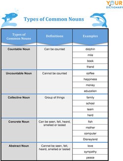 Common Noun
