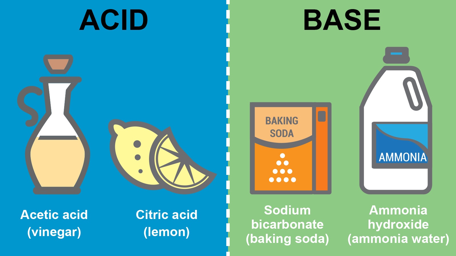 what are the differences between bases and acids