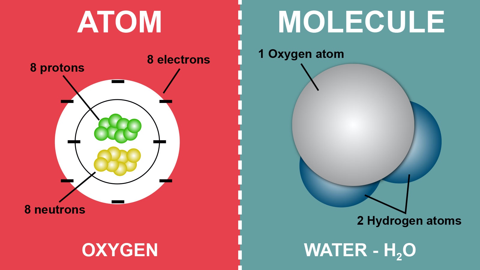 Чем отличается молекула. Атом и молекула разница. Различие между атомом и молекулой. Атом. Молекула и атом различие.