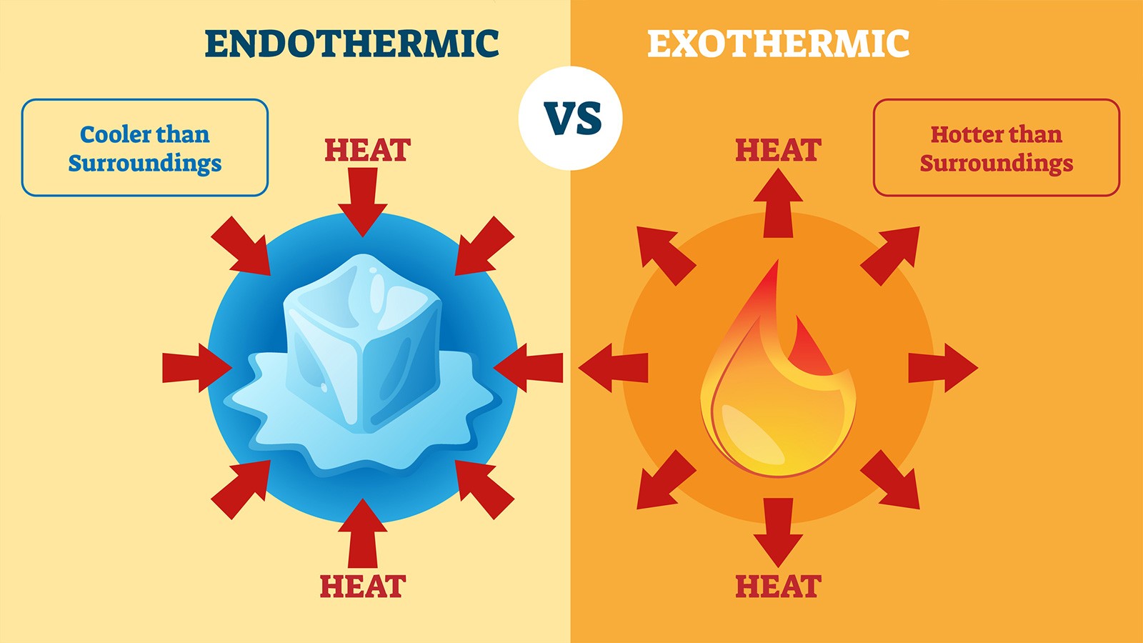Endothermic And Exothermic Reactions Endothermic And Exothermic Reactions