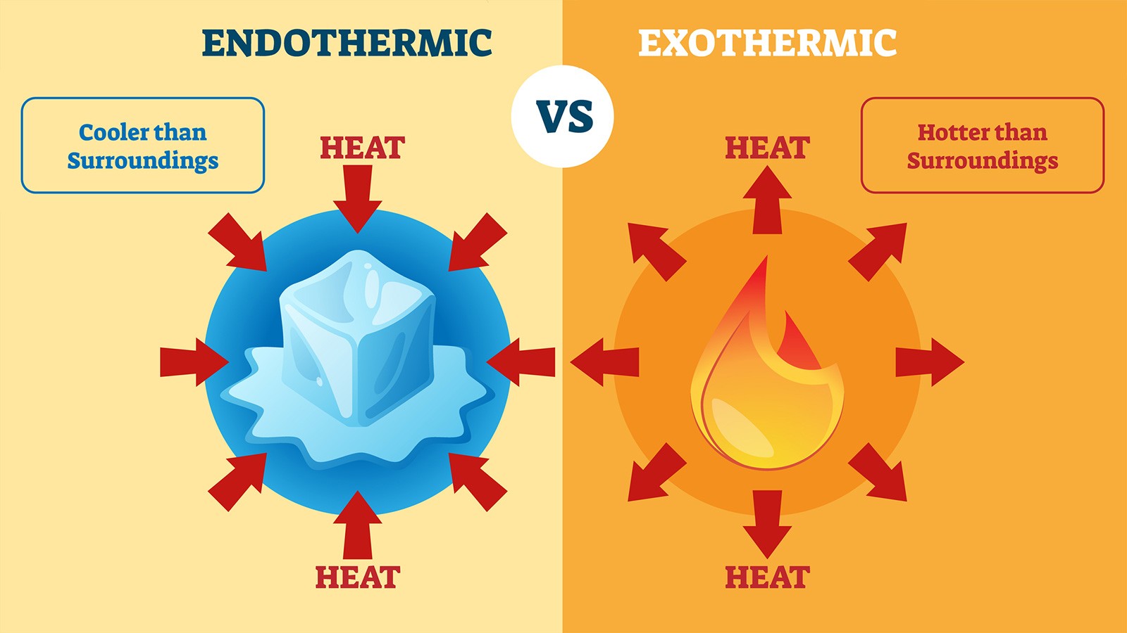 What Is The Difference Between Exothermic And Endothermic Chemical