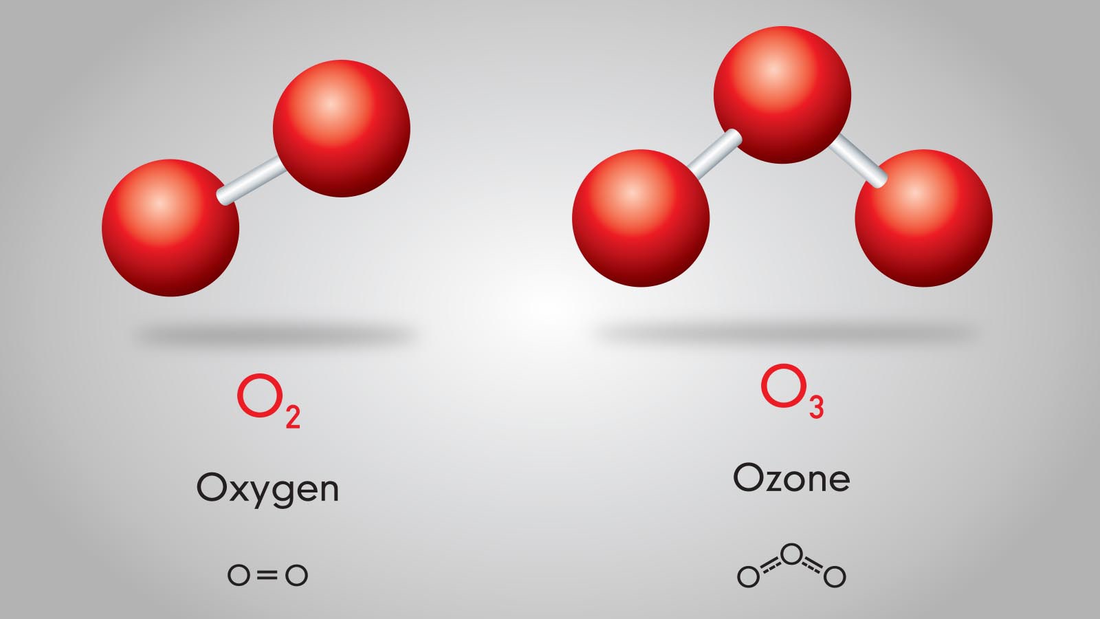 Common Molecule  Examples