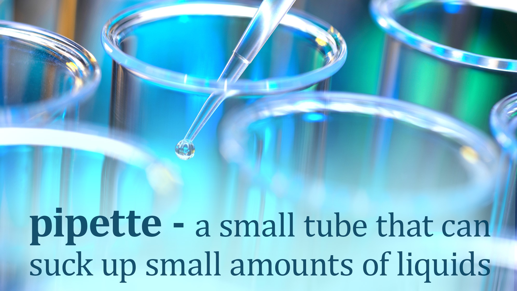 Science Terms Made Simple for Kids