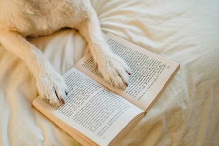 Liesmoien mat Hond: Du bass genau richteg