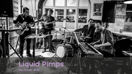 Liquid Pimps live at Mirador
