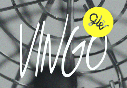 VINGO - wine quiz and bingo! at De Gudde Wëllen