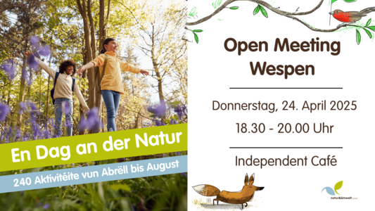 Open Meeting - Wespen