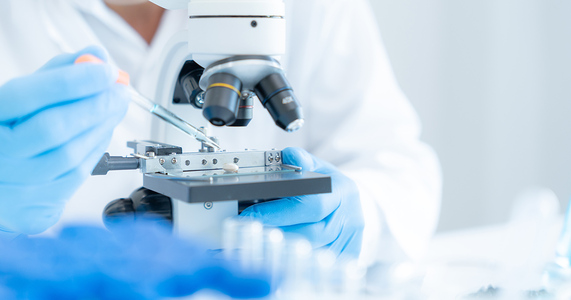 Interdisciplinarity – easier said than done