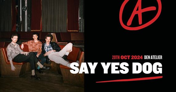Say Yes Dog