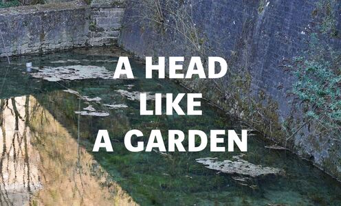 A Head Like a Garden / La tête comme un jardin