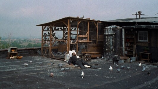 Ghost Dog: The Way of the Samurai (Jim Jarmusch)