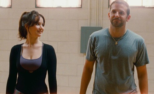 Silver Linings Playbook (Comedy Classics)