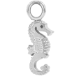 Seahorse  (Argent)