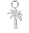 Palm Tree (Argent)