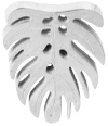 Monstera  (Silver)