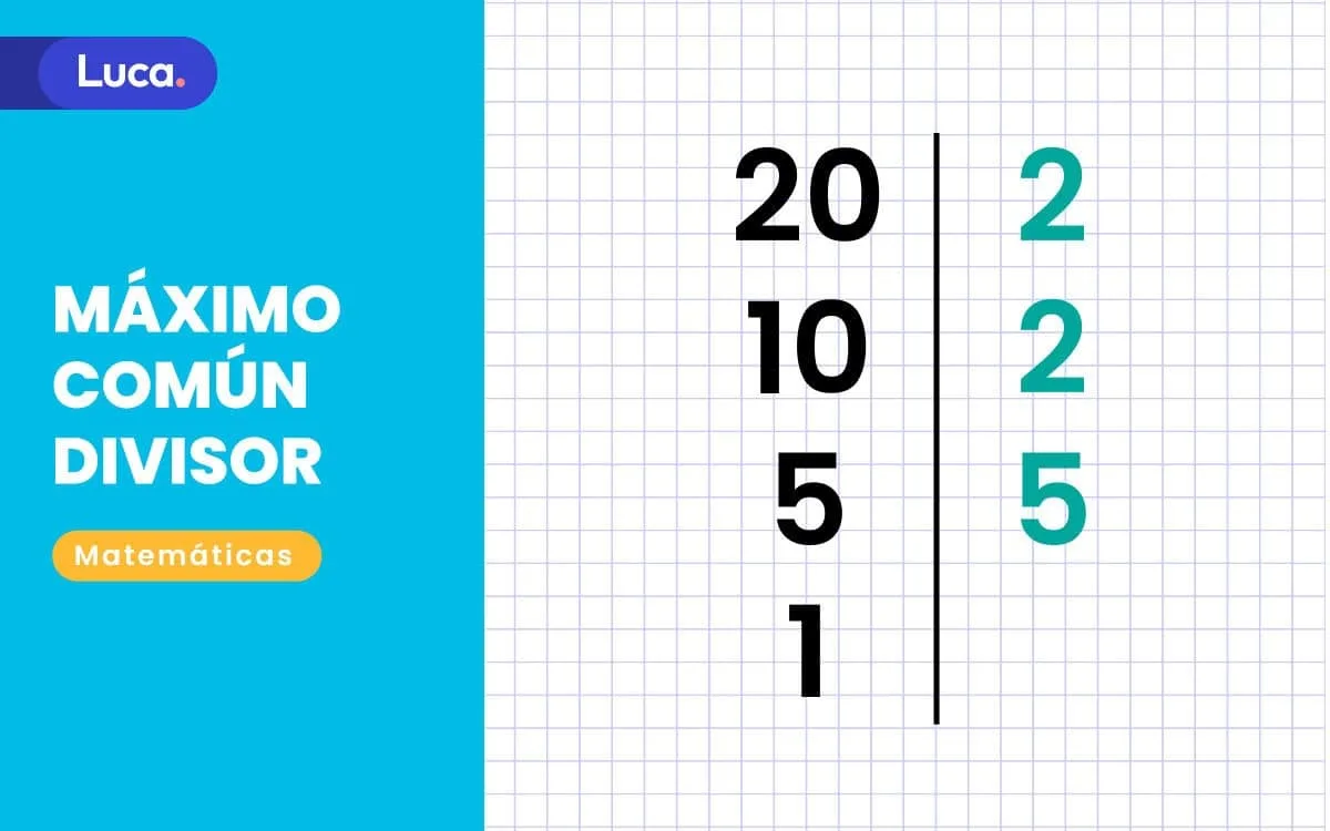 Niño calculando el máximo común divisor en primaria